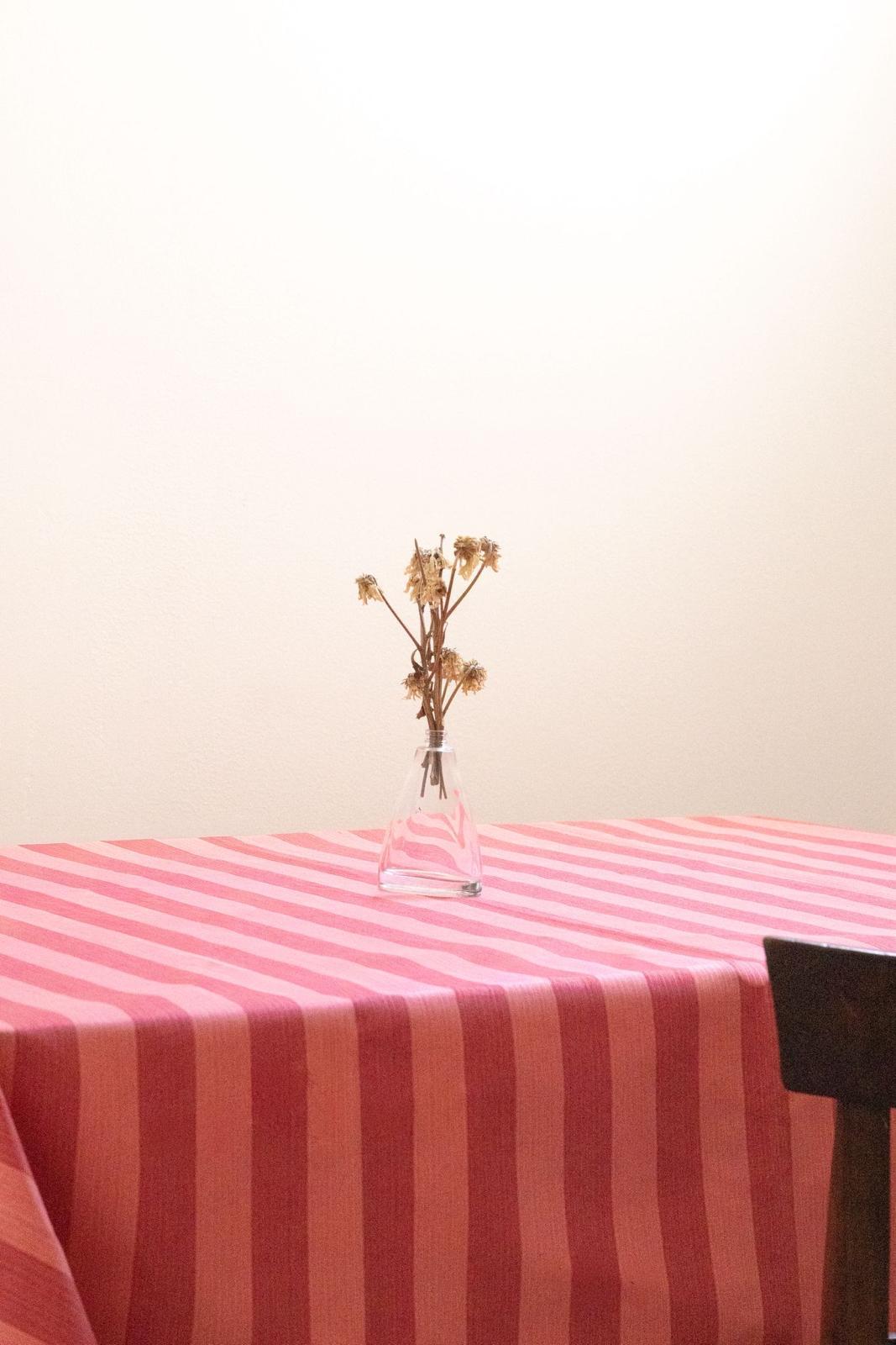 MANTEL ANTIMANCHAS ILLETA ROSA